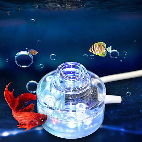 Aquarium lamp - Lootquake