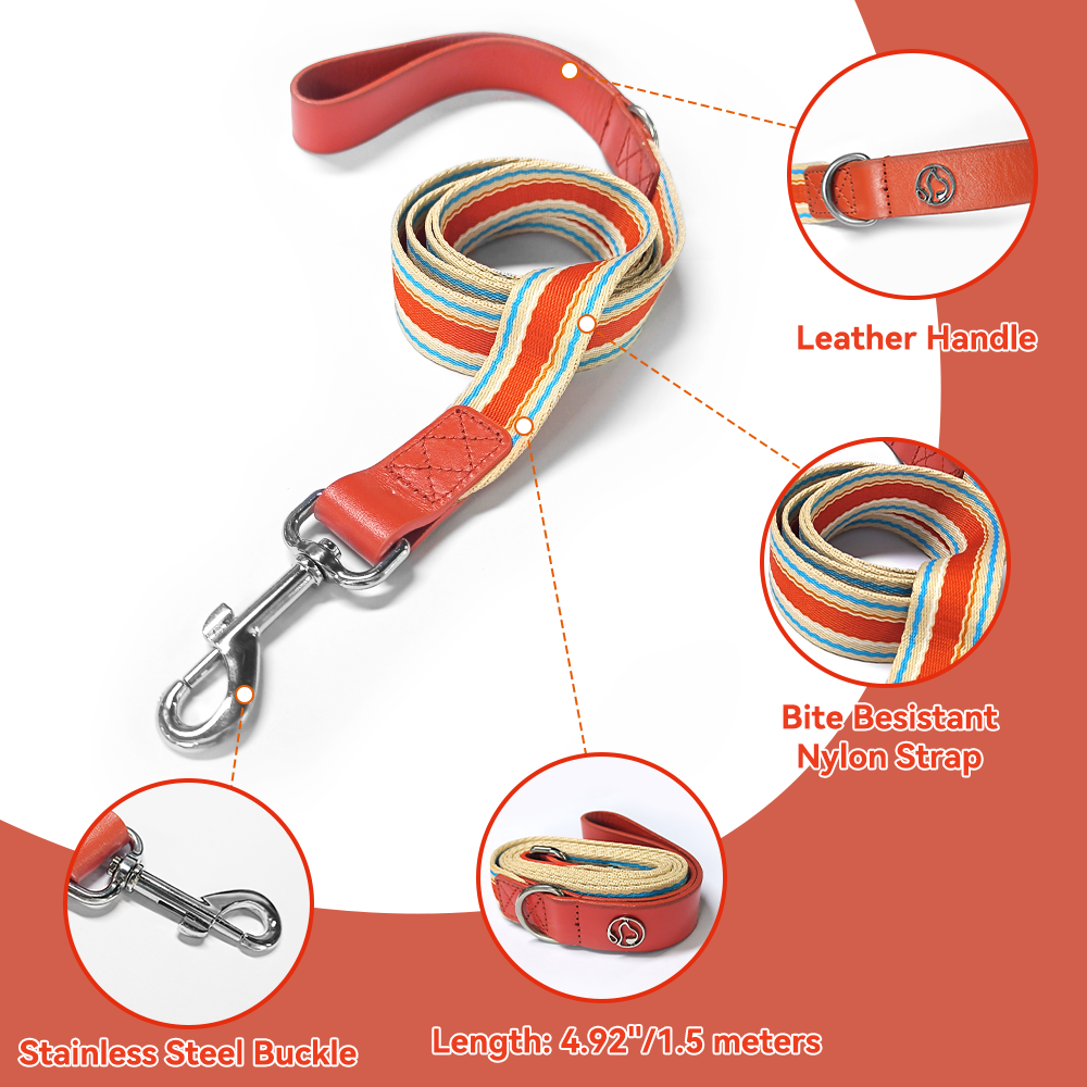 Adjustable Dog Collar and Leash Set - Perfect Fit for All Breeds