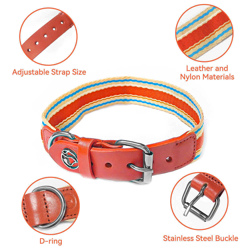 Adjustable Dog Collar and Leash Set - Perfect Fit for All Breeds