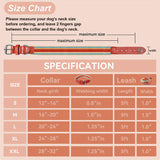 Adjustable Dog Collar and Leash Set - Perfect Fit for All Breeds