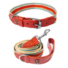 Adjustable Dog Collar and Leash Set - Perfect Fit for All Breeds