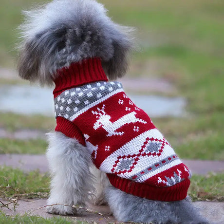 Dog clothes small dog corgi - Lootquake
