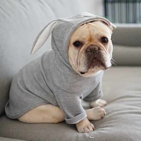 Dog Pet Clothes Spring And Autumn Clothing - Lootquake