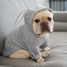 Dog Pet Clothes Spring And Autumn Clothing - Lootquake
