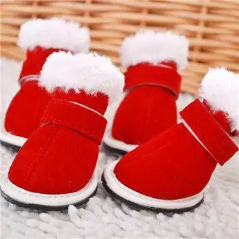 Pet shoes - Lootquake