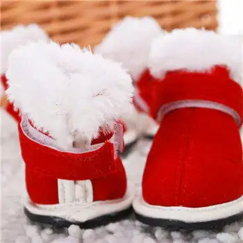 Pet shoes - Lootquake