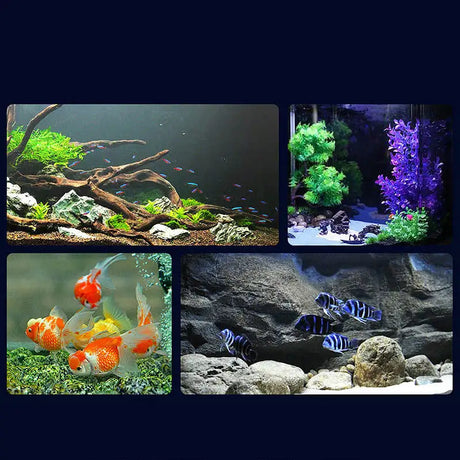 Aquarium lamp - Lootquake