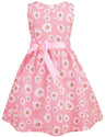 Princess Infant Kids Dresses for Girls Children Dresses GirlsE372-3 Years(Size 100) - Lootquake