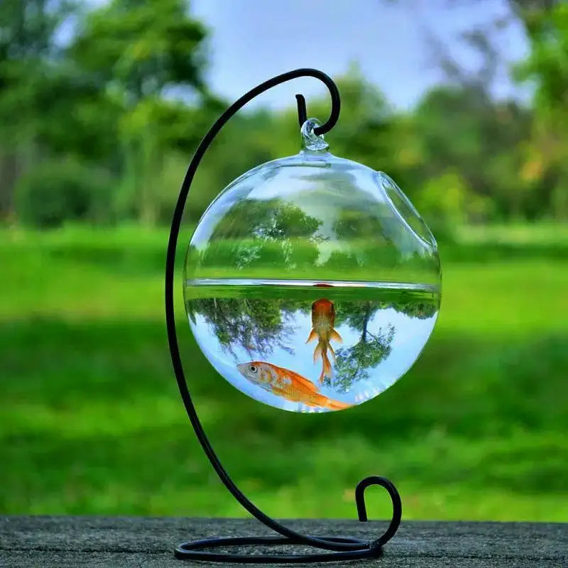 Hanging Glass Vase Fish Tank - Lootquake