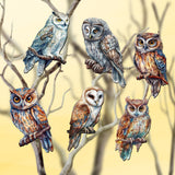 Night Owls Decorative Wooden Clip-on Ornaments of 6 by G. Debrekht - Christmas Decor - 8090004C-S6