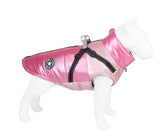 Pet Clothing - Lootquake
