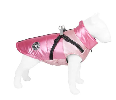 Pet Clothing - Lootquake