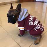 Pet sweater - Lootquake
