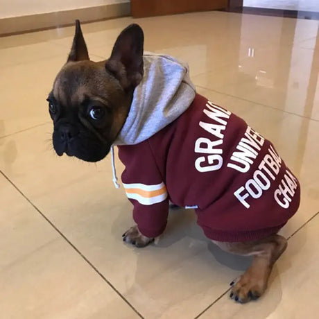 Pet sweater - Lootquake