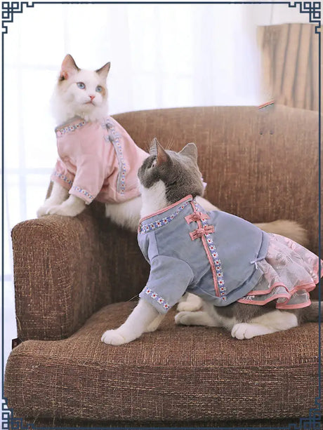 Pet cat clothes - Lootquake