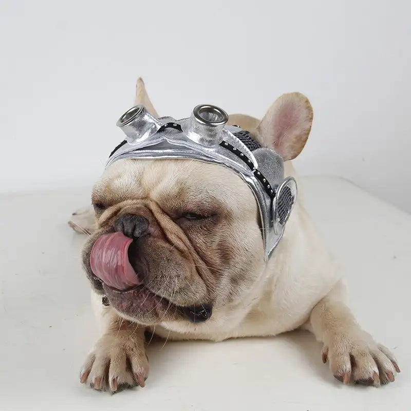 Pet Products Party Dress Fight - Lootquake