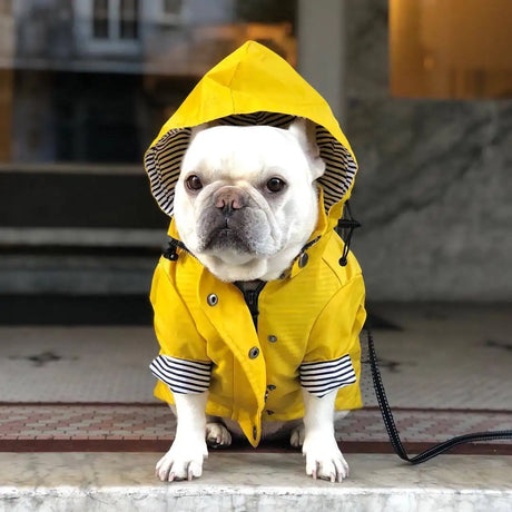 Dog Raincoat Pet Clothes Dog Clothes Rain Water - Lootquake