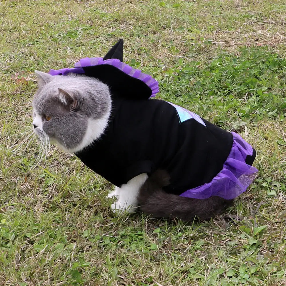 Christmas Wizard Pet Halloween Dog Clothes Pet Clothes - Lootquake