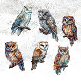 Night Owls Decorative Wooden Clip-on Ornaments of 6 by G. Debrekht - Christmas Decor - 8090004C-S6