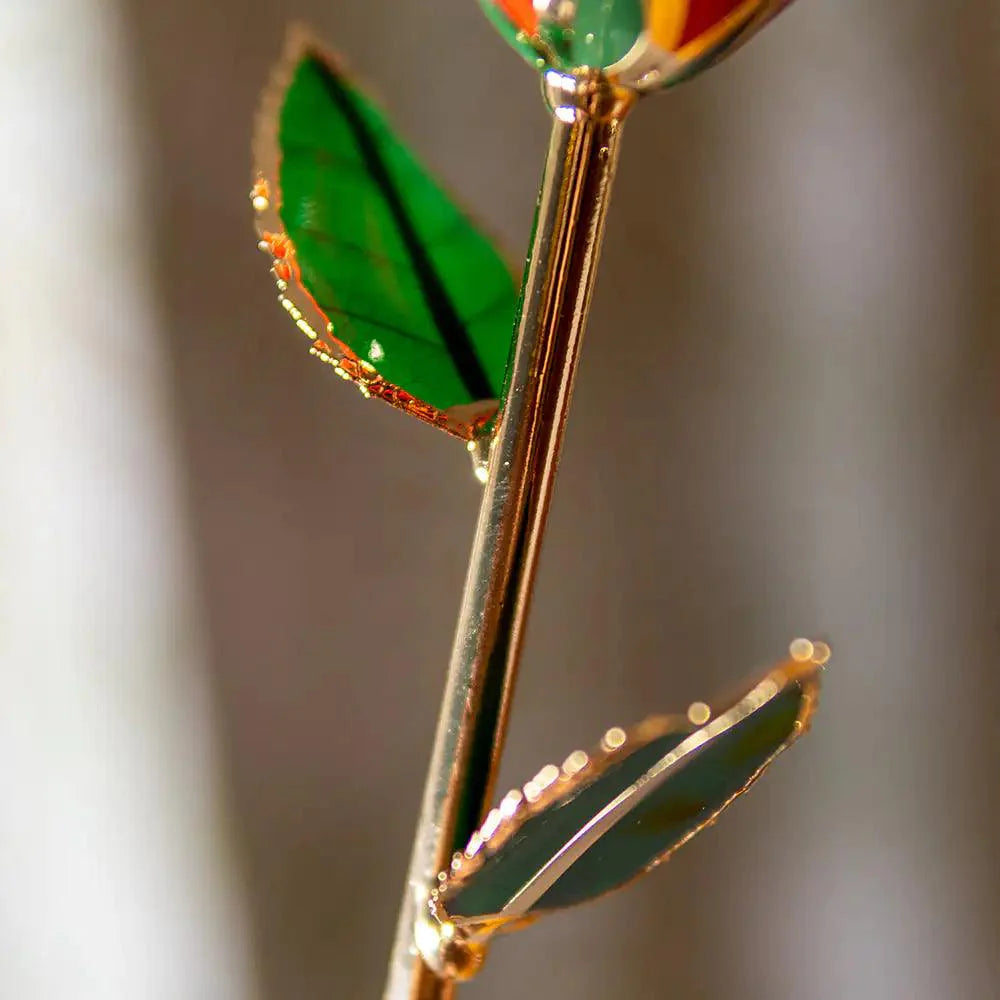 24K Gold Plated Rose Gift