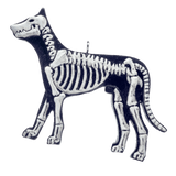 Dog Bones Flatback