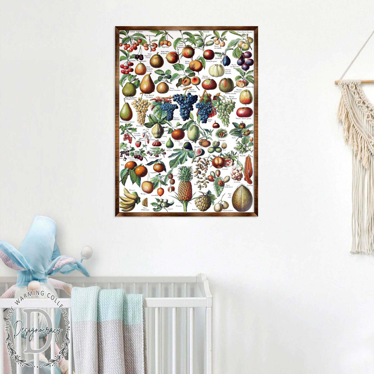 Fruit Montessori Wooden Poster - Homeschool I Educational Poster - Classroom Decor - Aesthetic - 310223