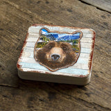 Bear Face Wooden Cork Coasters Gift Set of 4 by Nature Wonders - Nature Wildlife Decor  - 8198214-4C-S4