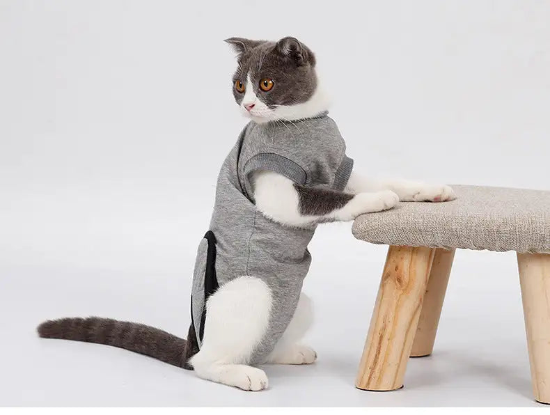 Pet Cat Recovery After Surgery Clothing Pet Wound Anti-mite Sterilization Suit pet products supplies &c - Lootquake