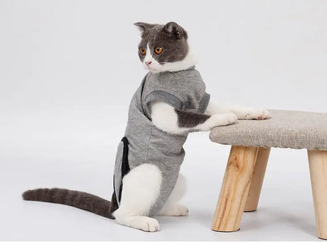 Pet Cat Recovery After Surgery Clothing Pet Wound Anti-mite Sterilization Suit pet products supplies &c - Lootquake