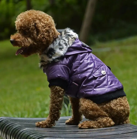 Cross-border pet supplies pet clothes dog clothes autumn and winter fur collar coat pet dog clothing - Lootquake
