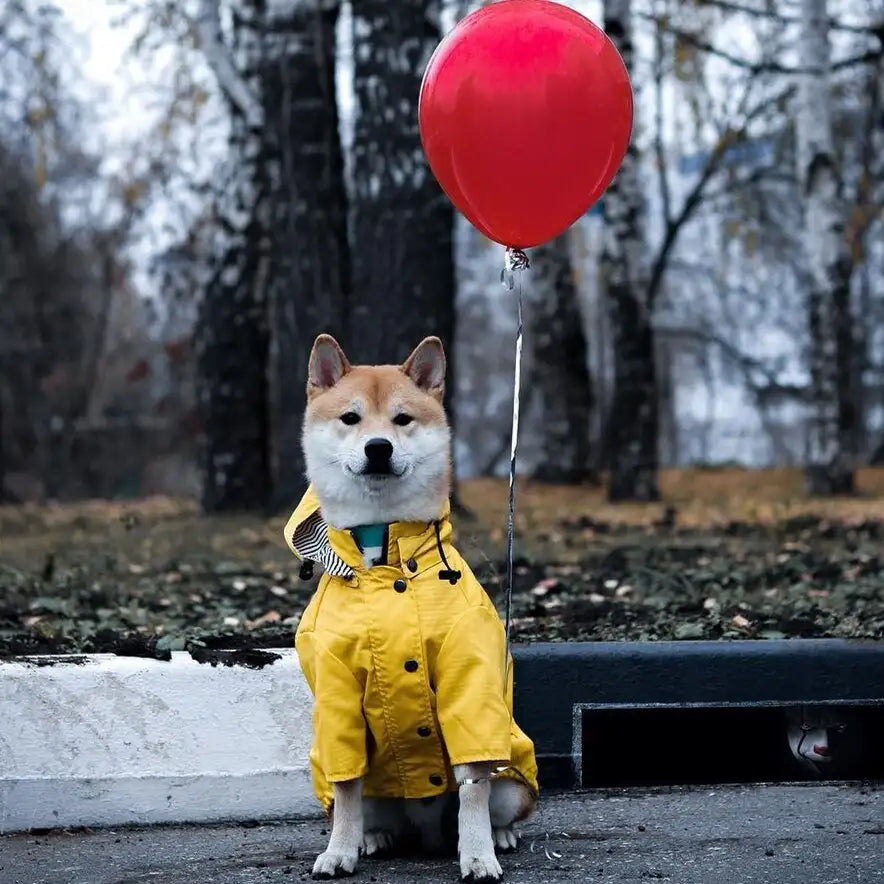 Dog Raincoat Pet Clothes Dog Clothes Rain Water - Lootquake