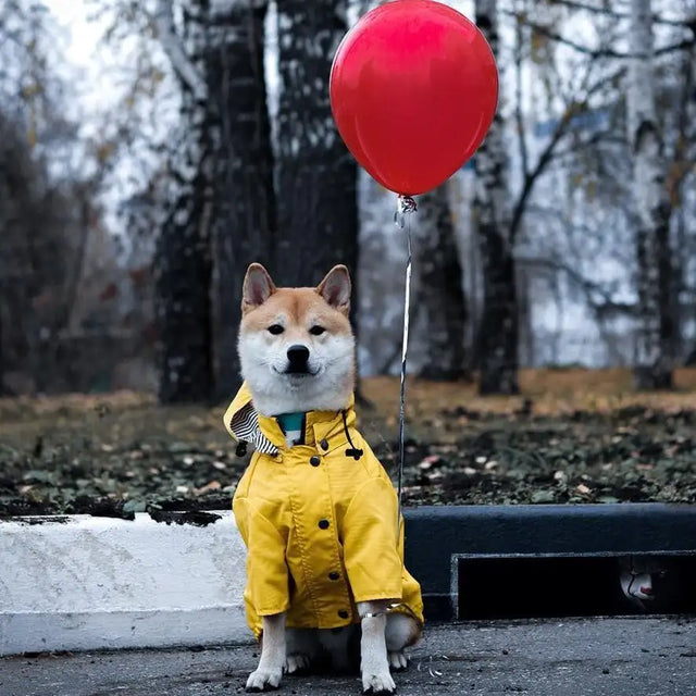 Dog Raincoat Pet Clothes Dog Clothes Rain Water - Lootquake