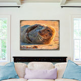 Arte mural costero de madera con foca de Speier de Nature Wonders - Decoración costera con vida marina - 95260B