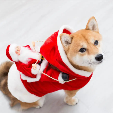 Fashion Christmas Clothes Green Elf Pet Dog Christmas Costume - Lootquake