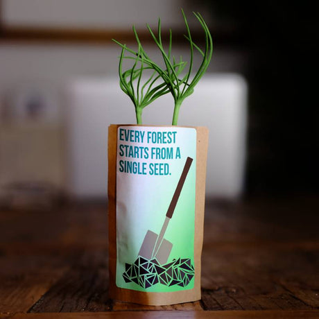 Every Forest Starts From a Single Seed - Plants 10 Trees-0