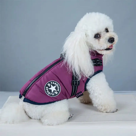 Pet Dog Clothes For Small Dogs Winter Warm Dog Hooded Coat Jackets Chihuahua Pug Outfits Puppy Cat Clothing - Lootquake