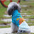 Dog clothes small dog corgi - Lootquake