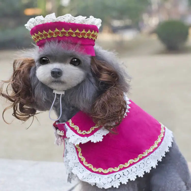 Christmas Pet Clothes Funny   Pet Clothing Apparel - Lootquake