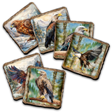 Eagles Wooden Cork Placemat and Coasters Gift Set of 7 by Nature Wonders Nature Wildlife Decor  - 85406C-S7