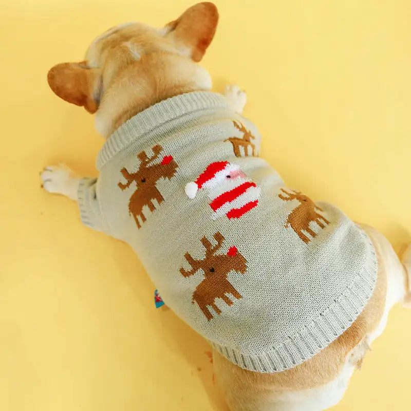 Pet christmas sweater - Lootquake