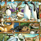 Birds Whimsical Wall Art by Laura Seeley - Love Family Kids Decor - 8513001-LS