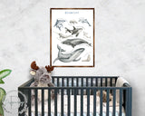Ocean Animals Wooden Kids Room Décor - First day of school gift - Homeschool I Montessori wooden Educational Poster - Classroom Décor - Playroom Art - 310216
