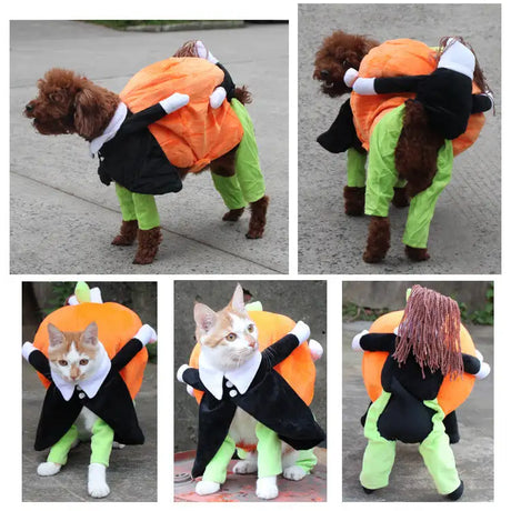 clothes for pets - Lootquake