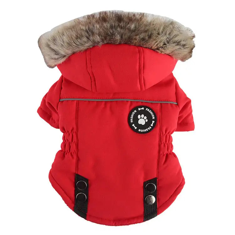 Pet Winter Cotton Dog Clothes Zipper Jacket Dog Supplies - Lootquake