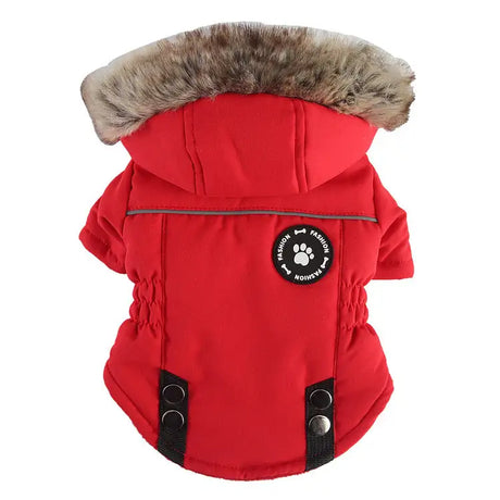 Pet Winter Cotton Dog Clothes Zipper Jacket Dog Supplies - Lootquake