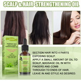 Rosemary Mint Hair Growth Fluid Scalp Massage - Lootquake