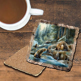 Charming Sea Lions Wooden Cork Coasters Gift Set of 4 by Nature Wonders Coastal Wildlife Decor  - 95387C-S4