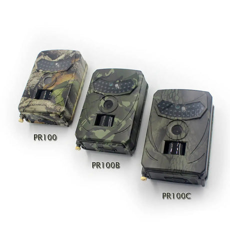 Forestry security camera - Lootquake
