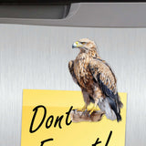 Eagle's Flight Decorative Wooden Magnets Set of 6 by G. Debrekht - Wildlife Decor - 8090101G-S6