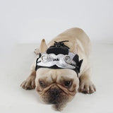 Pet Products Party Dress Fight - Lootquake